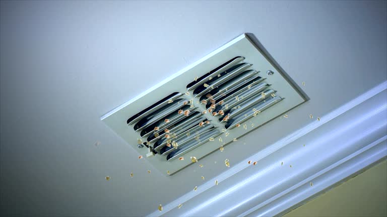 Best Air Duct Cleaning Near Me in TX
