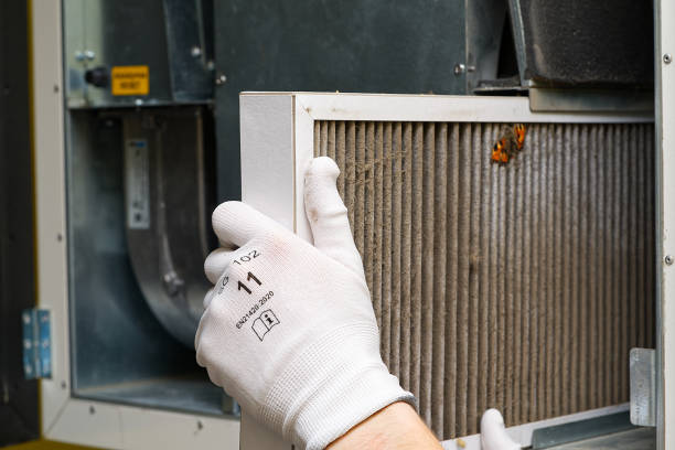 Best Air Duct Cleaning Near Me  in Wolfforth, TX